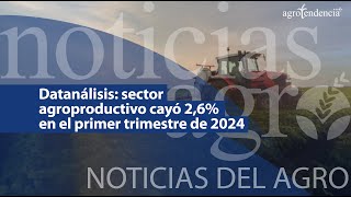 🔴 Datanálisis sector agroproductivo cayó 26 en el primer trimestre de 2024  NDA [upl. by Hagile]