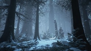 Dark Winter Music amp Medieval Fantasy Music  Arctic Forest [upl. by Betsey]