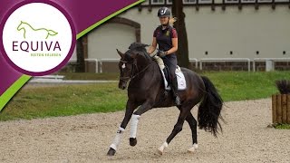 Reiten bei der Bundeswehr  AnnKristin ist Sportsoldatin in Warendorf [upl. by Annaek714]