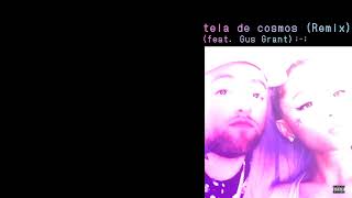 tela de cosmos Remix feat Gus Grant  Lean [upl. by Myrt]