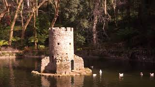 The Parque de Pena  Mysteries And Ferns Everywhere In Sintra [upl. by Ingaberg]