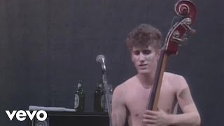 The Stray Cats  Stray Cat Strut Live [upl. by Margherita758]