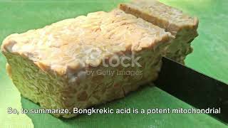 Bongkrekic Acid The Silent Killer in Tempeh Bongkrek [upl. by Gurango627]