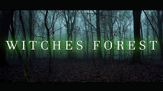 THE WITCHES FOREST  Full Movie [upl. by Odlanier286]