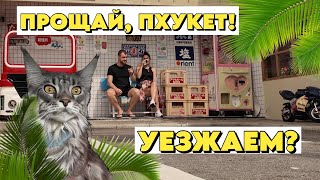 Куда едем 30 часов в пути Прощай Пхукет Кошка с нами [upl. by Aipotu]