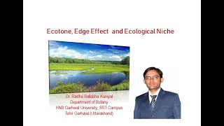 Ecotone Edge Effect and Ecological Niche  Ecology and Botany [upl. by Seve]