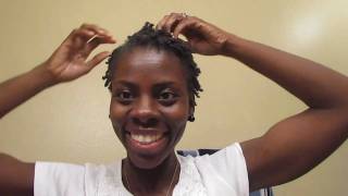 2 Strand Twist on Short Natural hair Protective Style on the Go [upl. by Noiek]