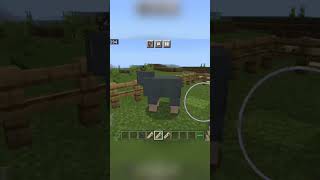 Minecraft Name tag tricks shorts [upl. by Darcey]