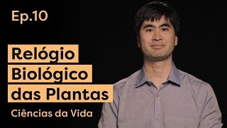 Como o relógio biológico ajuda plantas a crescerem mais e melhor  Episódio 10 Nível II [upl. by Carri]