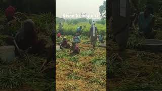 Aise di jati h kisan ko samman farmer kishan farming agriculture instagram motivation music [upl. by Ahcas]