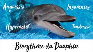 HORLOGE INTERNE  BioRythme du Groupe des Dauphins [upl. by Graf]