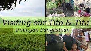 Umingan Pangasinan Trip To our Tito amp Titas Place family happy nature [upl. by Lyrpa]