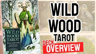 Wildwood Tarot Review All 78 Wildwood Tarot Cards REVEALED [upl. by Meeki]