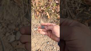 Arrowhead hunting you can even find them on a four wheeler trail upstate New York [upl. by Peih253]