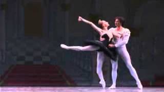 Moscow Ballet  Swan Lake [upl. by Odraode726]