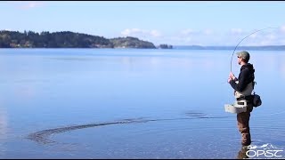 Beach Fly Fishing The Puget Sound w Commando Heads  OPST [upl. by Ladonna664]