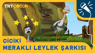 Ciciki  Meraklı Leylek Şarkısı [upl. by Enna]