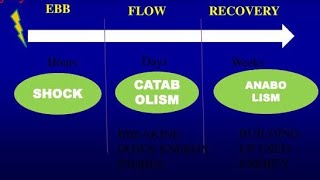 THE METABOLIC RESPONSE TO INJURY [upl. by Aterg]