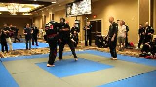 Kenpo Sparring [upl. by Ylrak]