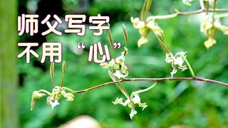 师父写字不用心 人乘弟子 著 《人间菩萨》 唯佛宗世界人乘佛教 [upl. by Haman]