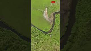 The Mystery Behind River Meanders facts shorts [upl. by Selassie]