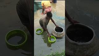 Talab se machhliyon ko kaise nikala jata hai shortsvideo fishing fish [upl. by Nivej621]