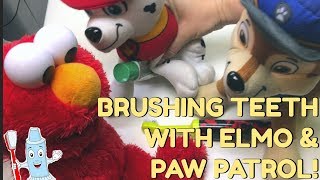 BRUSHING TEETH WITH ELMO amp PAW PATROL [upl. by Perzan]