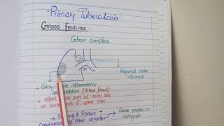 Tuberculosis Pathology  Primary and Secondary TB [upl. by Jerrie]