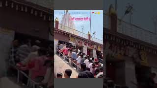 Maihar माँ शारदा दर्शन  maiharmata hindutemple shortvideo [upl. by Midian]