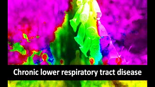 Chronic lower respiratory tract disease [upl. by Ede]