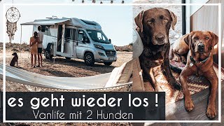 Camper abholen amp packen mit 2 Hunde  Bettwäsche batiken  Chocolate Foxred Labrador KaroLovesMilka [upl. by Raynata]