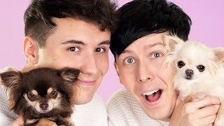 Dan and Phil AND DOGS [upl. by Annawahs]