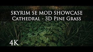 Skyrim SE Mod Showcase Cathedral  3D Pine Grass  4K [upl. by Oneill]