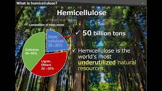 COP29 HEMIX™ bioplastics Hemicellulose Ltd presentation ver3 [upl. by Ahsac]