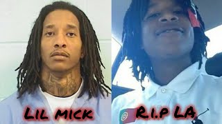 Should 051 Lil Mick get another chance 🤔 hes currently charged with k¡lling La Capone [upl. by Westbrook]