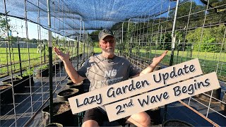 Lazy Garden Update July 2024 [upl. by Reilamag]