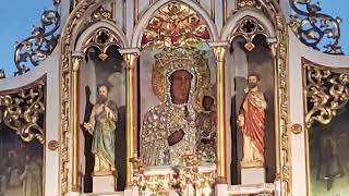 Our Lady of Czestochowa Sunday Mass  August 20 2023 [upl. by Juieta]