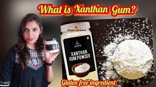 What Is Xanthan Gum जेंथन गम  Gluten Free Magical Thickener [upl. by Retniw]