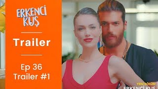 Erkenci Kus ❖ Ep 36 Trailer 1 ❖ Can Yaman amp Demet Ozdemir ❖ English ❖ 2019 [upl. by Rondi]