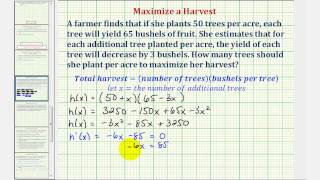 Ex Optimization  Maximized a Crop Yield Calculus Methods [upl. by Salomie]