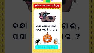 ବନ୍ଧା ହୋଇଛି ଗାଈ  Odia Intelligent Question  Odia dhaga damali  Odia gk odiaintrestinggk [upl. by Machos]