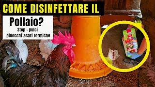 Come pulire e DISINFETTARE Il POLLAIO  ELIMINA PULCI FORMICHEACARIPIDOCCHI [upl. by Gatias116]