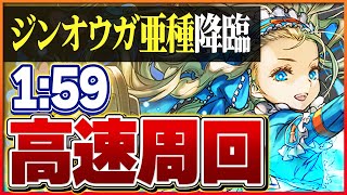 【ジンオウガ亜種降臨】ノアループで快適周回！部位ごとボス1パン編成！【パズドラ】 [upl. by Sirej]