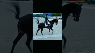 Olympics Paris 2024 dressage equestrian horseriding edit [upl. by Sivatco]