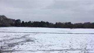 Southampton Common covered in snow dog playing fetch [upl. by Eldred]