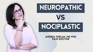 174 Understanding neuropathic vs nociplastic pain mechanisms [upl. by Neall81]