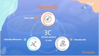 Turmacin® Power of Turmerosaccharides® for joint health is clean label 100 Turmeric extract [upl. by Reggie]