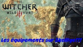 The Witcher 3 Localisation de tous les armures et épées sur Skellige par level [upl. by Esinej]