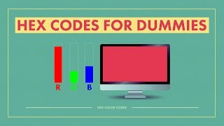 HEX CODE for Dummies The NonTechnical Guide Base16 [upl. by Wiburg]