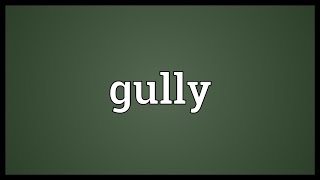 Gully Meaning [upl. by Namharludba]